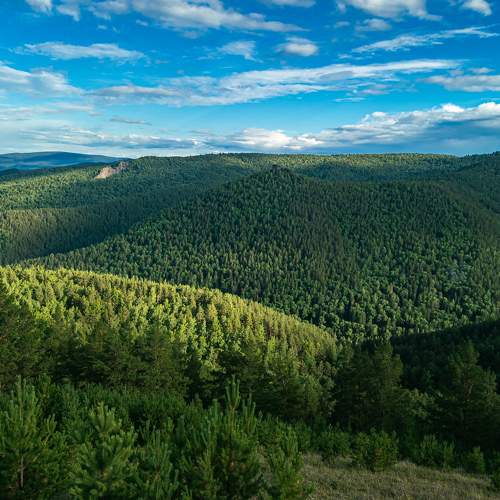 Photo #8290052