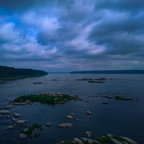Photo #8290057