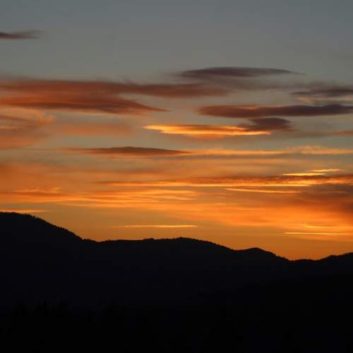 Photo #8290158