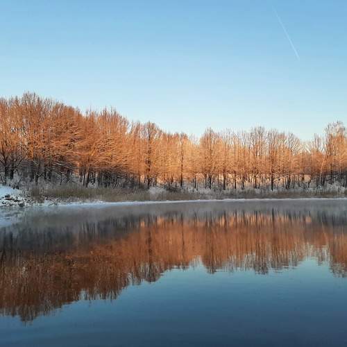 Photo #8290234