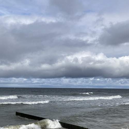 Photo #8290424