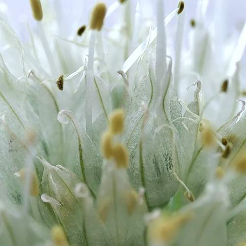 Photo #8290515