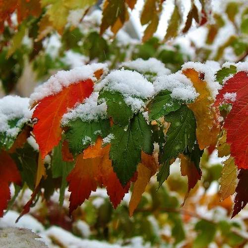 Photo #8290753