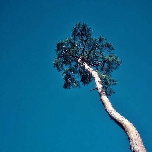 Photo #8290870