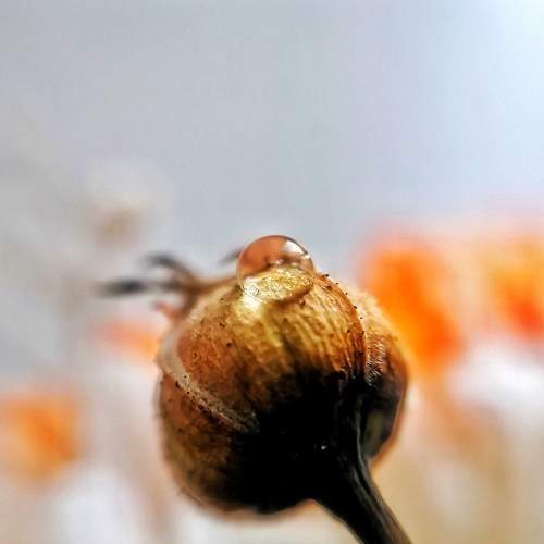 Photo #8290894