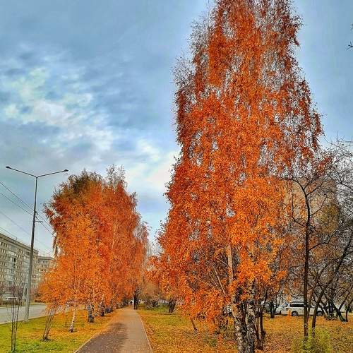 Photo #8290941