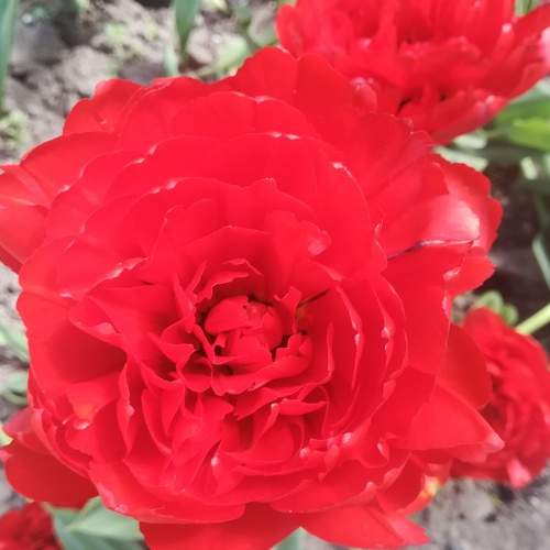Photo #8291219