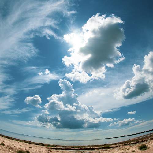 Photo #8291291