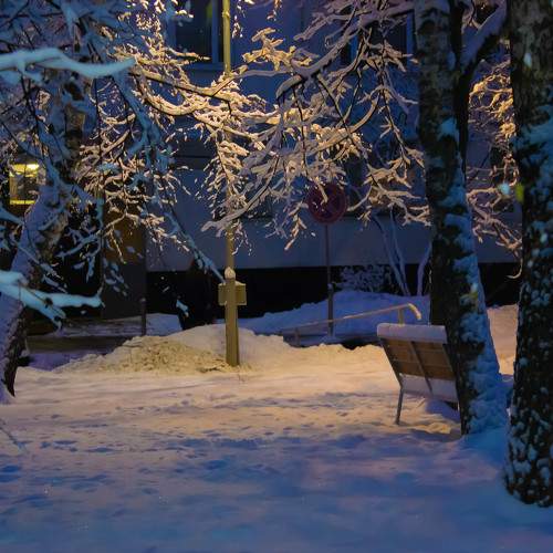 Photo #8291817