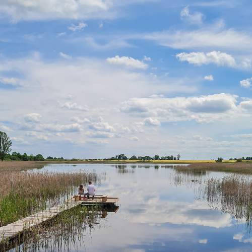 Photo #8292006