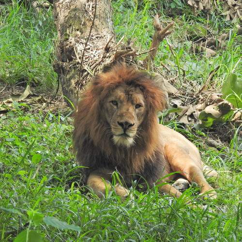 Photo #8292103