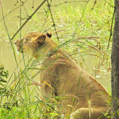 Photo #8292148