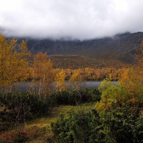 Photo #8292197