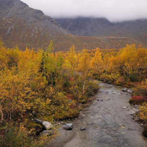 Photo #8292198