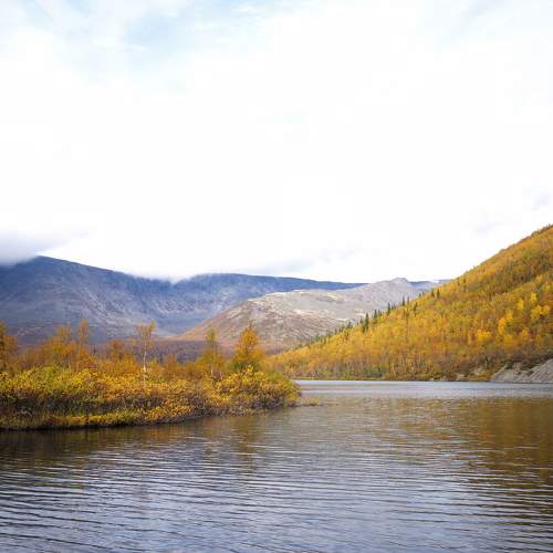 Photo #8292199