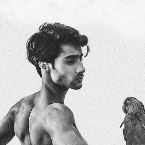Majestic Moment: A Shirtless Man and His Vibrant Parrot