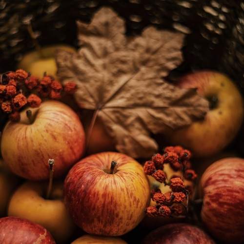 Photo #8292571