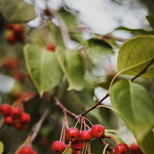 Photo #8292572