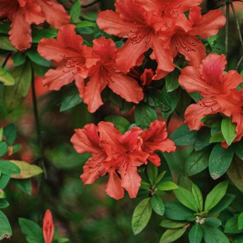 Photo #8292574