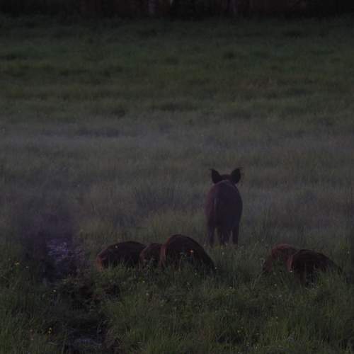 Photo #8292723