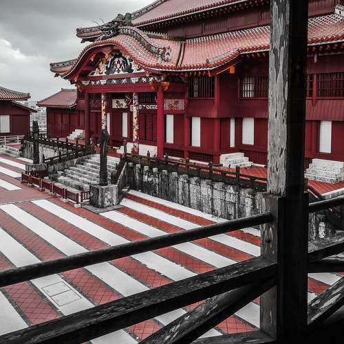 Photo #8293026