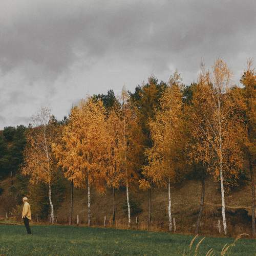 Photo #8293125