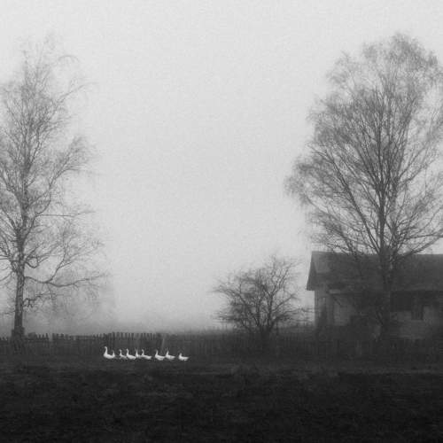 Photo #8293156