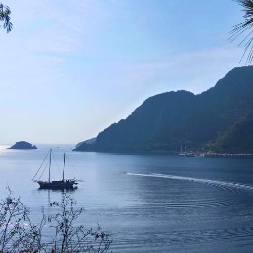 Photo #8293266