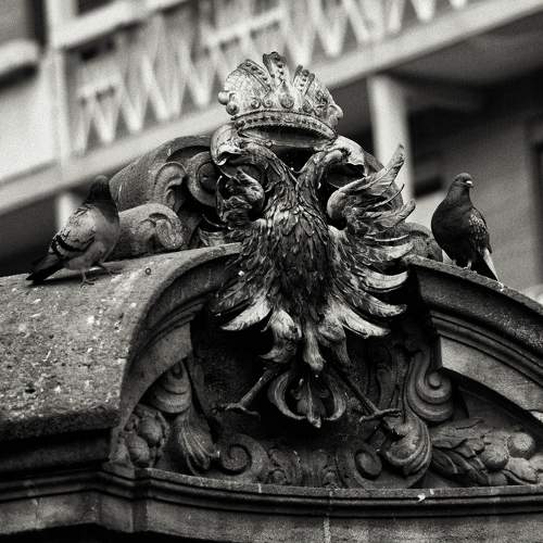 Photo #8293342