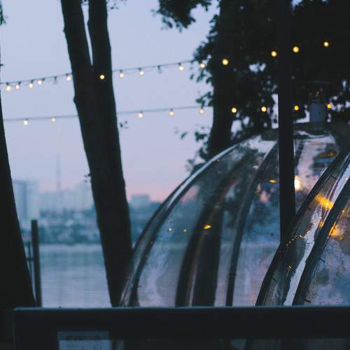 Photo #8293532