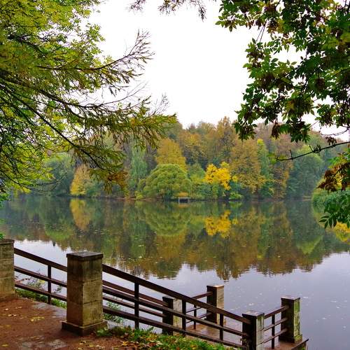 Photo #8293769