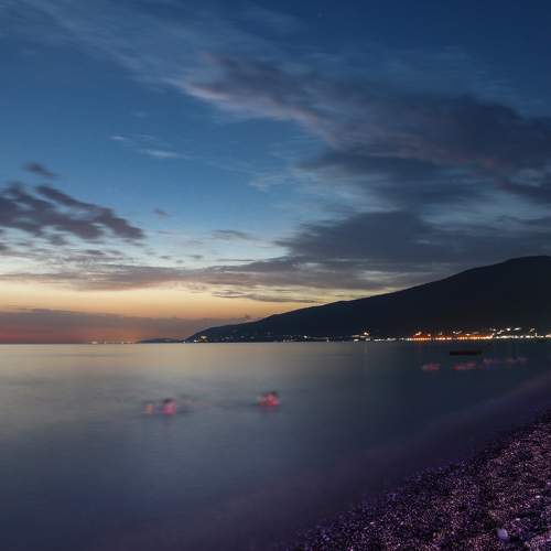 Photo #8293838
