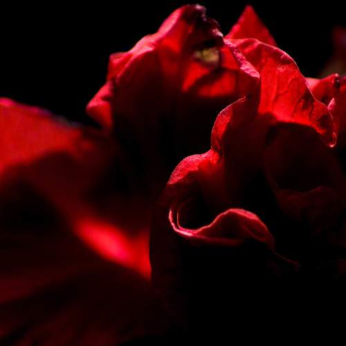 Photo #8294150
