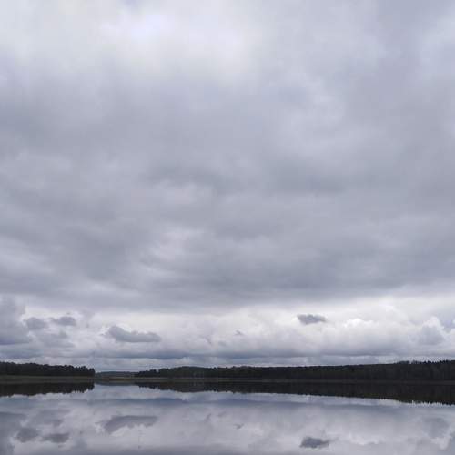 Photo #8294199