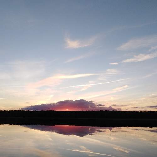 Photo #8294202