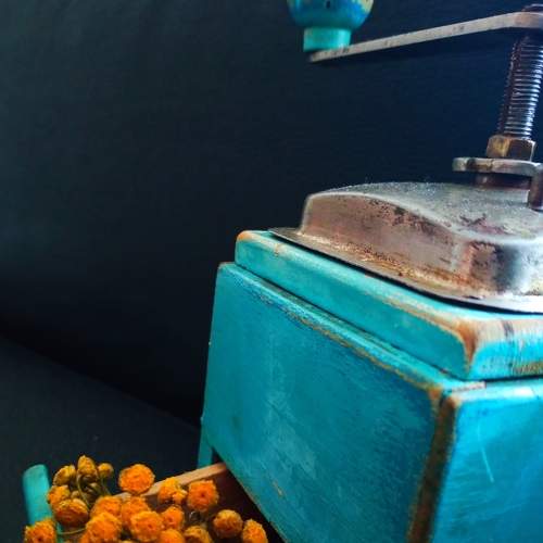 Photo #8294401