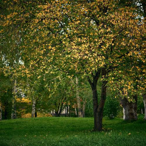 Photo #8294696