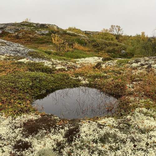 Photo #8295201