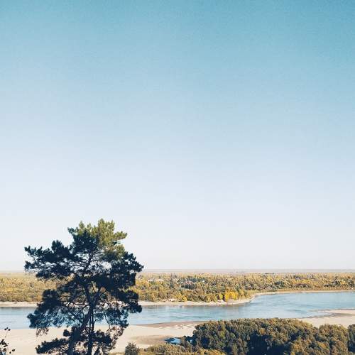 Photo #8295650