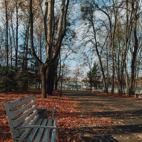 Photo #8295941
