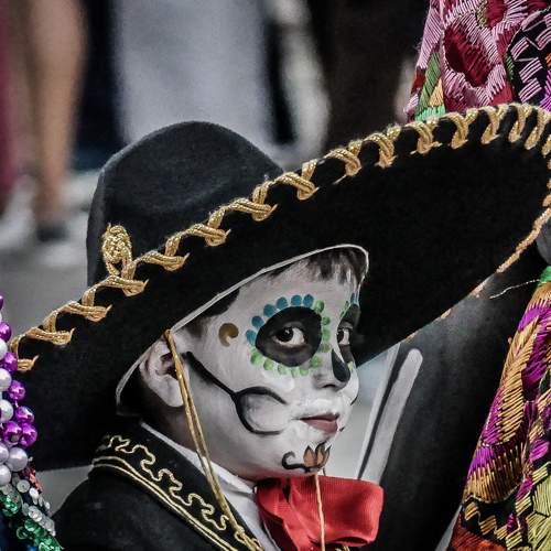 Photo #8296708