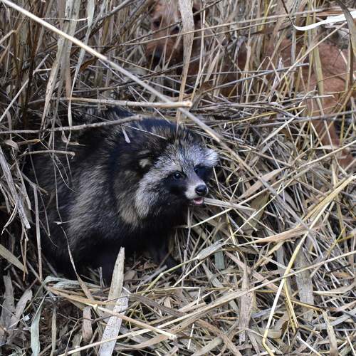 Photo #8296993