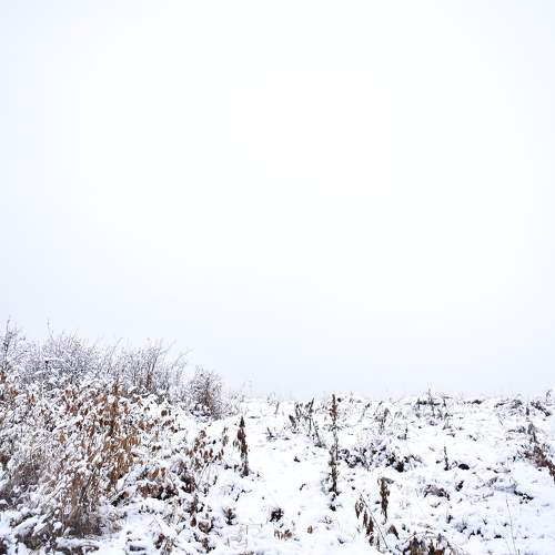 Photo #8296996