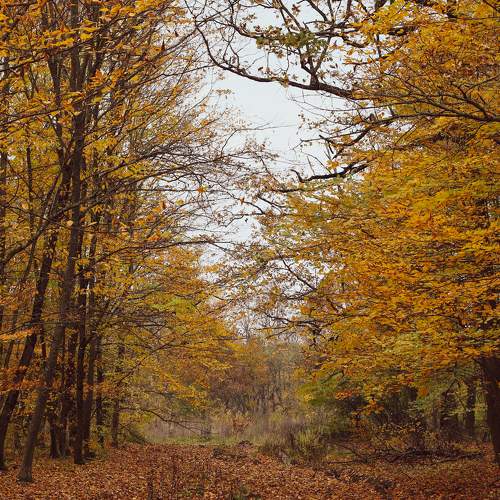 Photo #8297144