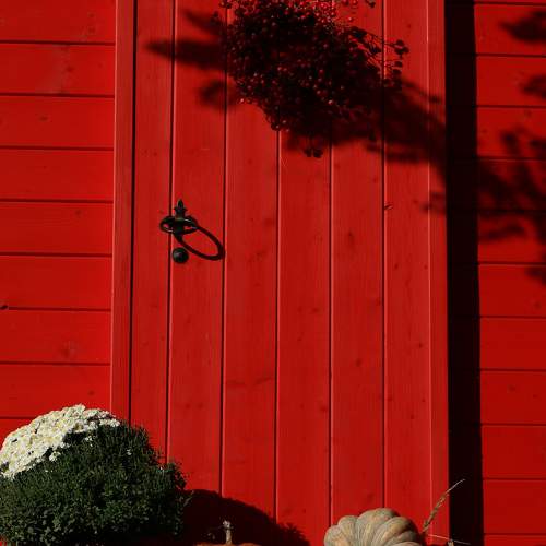 Photo #8297178