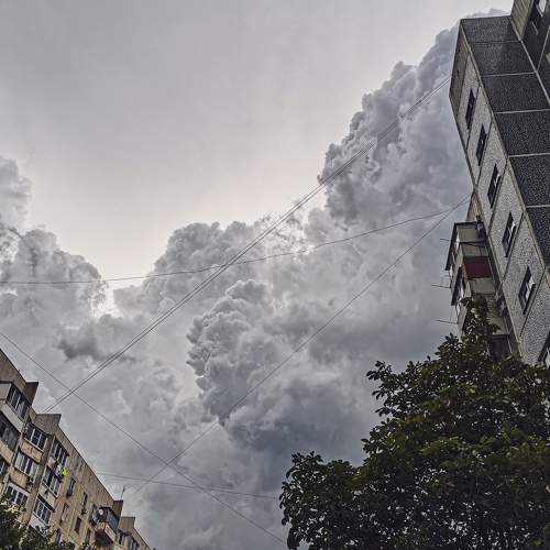Photo #8297383