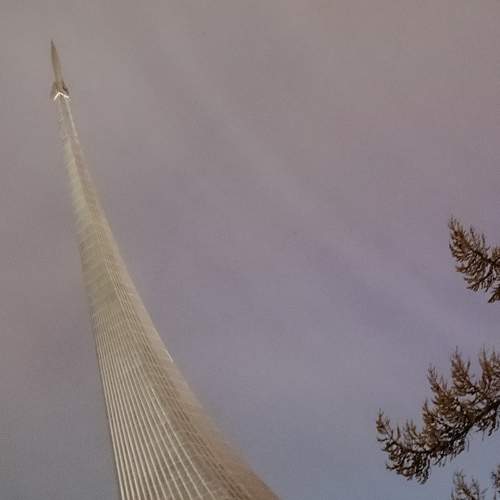 Photo #8297422