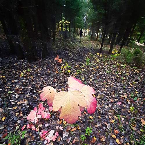 Photo #8297844
