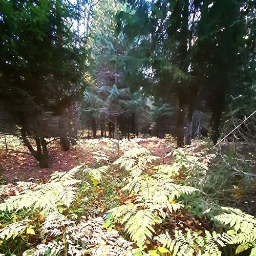 Photo #8297845
