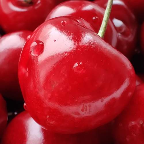 Photo #8298137